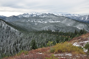 Tonga Ridge 