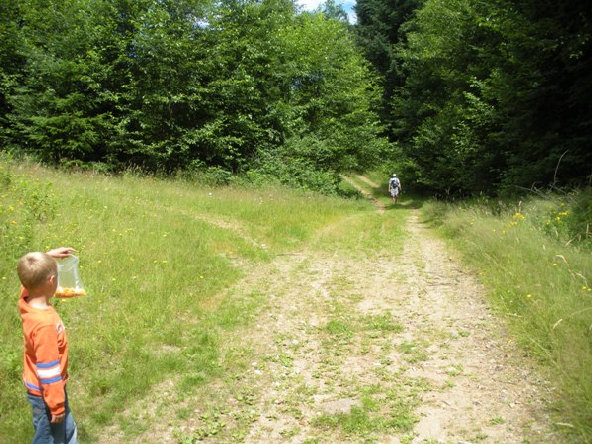 road-trail to sugarloaf mountain