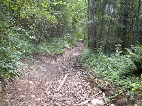 Trail on Sugarlaof