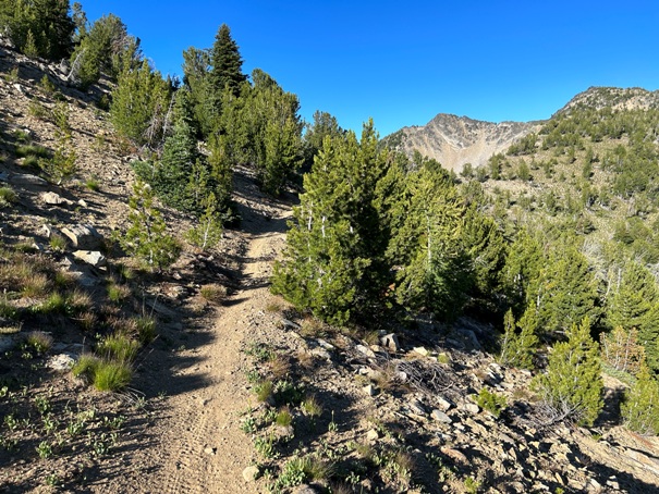 Horsethief Basin