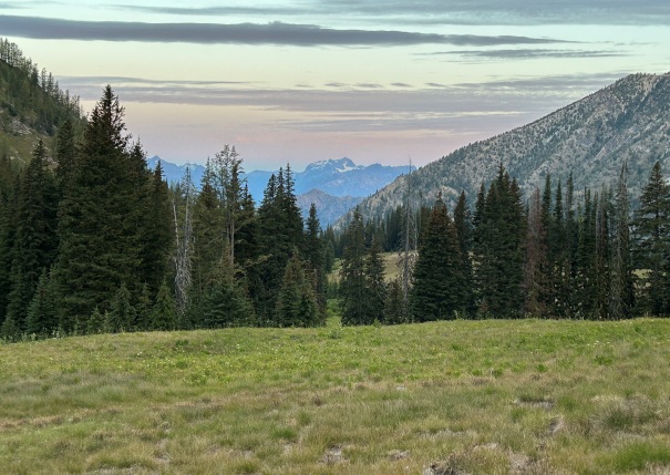 wilderness