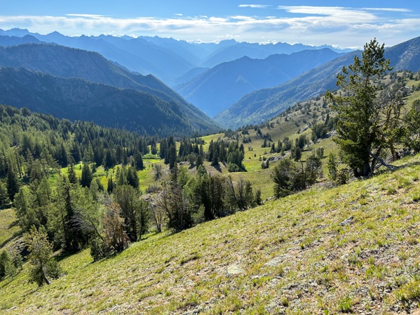 East Fork Prince Creek 