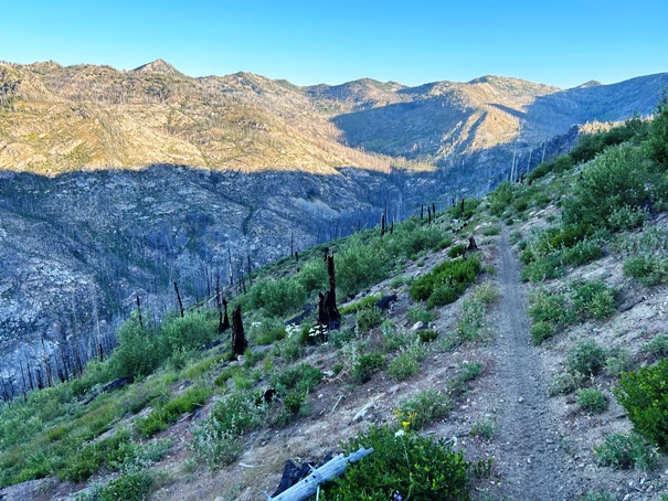 Summit Trail 