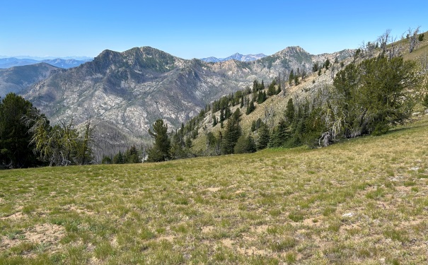 Vie Peak 