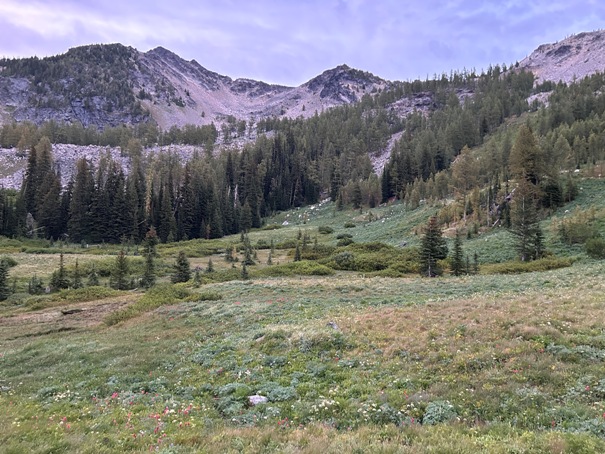 East Fork Prince Creek 
