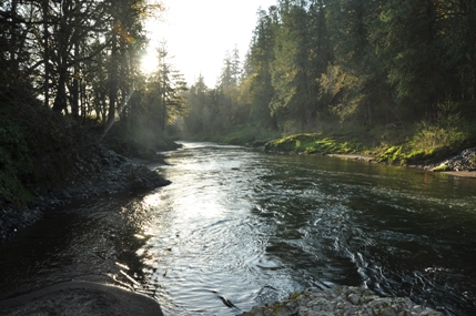 Chehalis River 