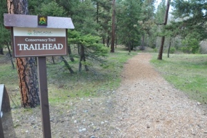 Suncadia Trails