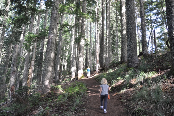 high rock trail