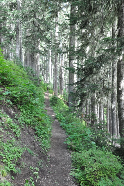 hiking high rock