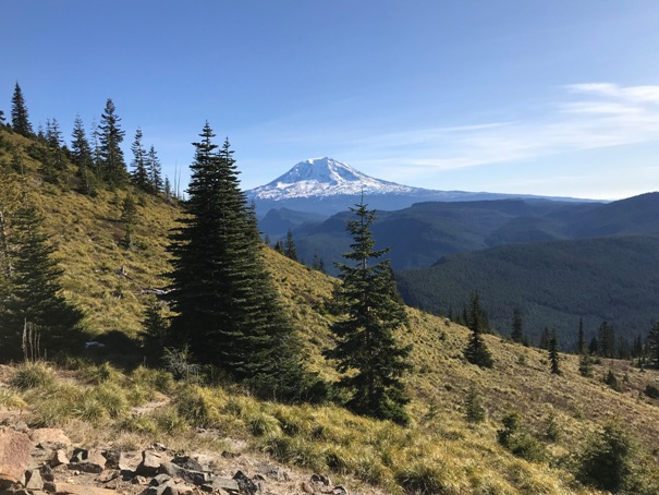 Mount Adams 