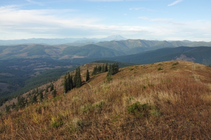 mount st helens