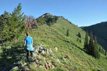 Meade Peak 