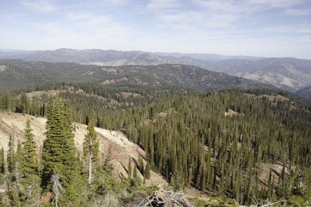 pilot peak view