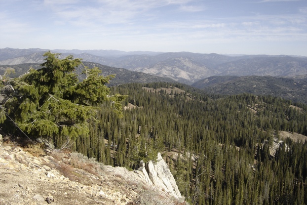 pilot peak view