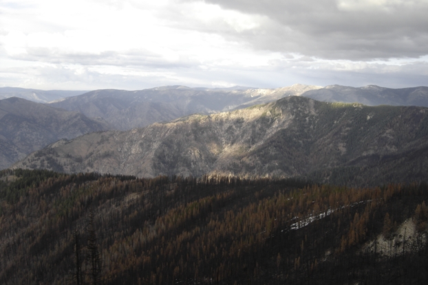 Pilot Peak views