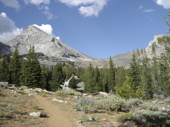 trail with Hyndman Peak