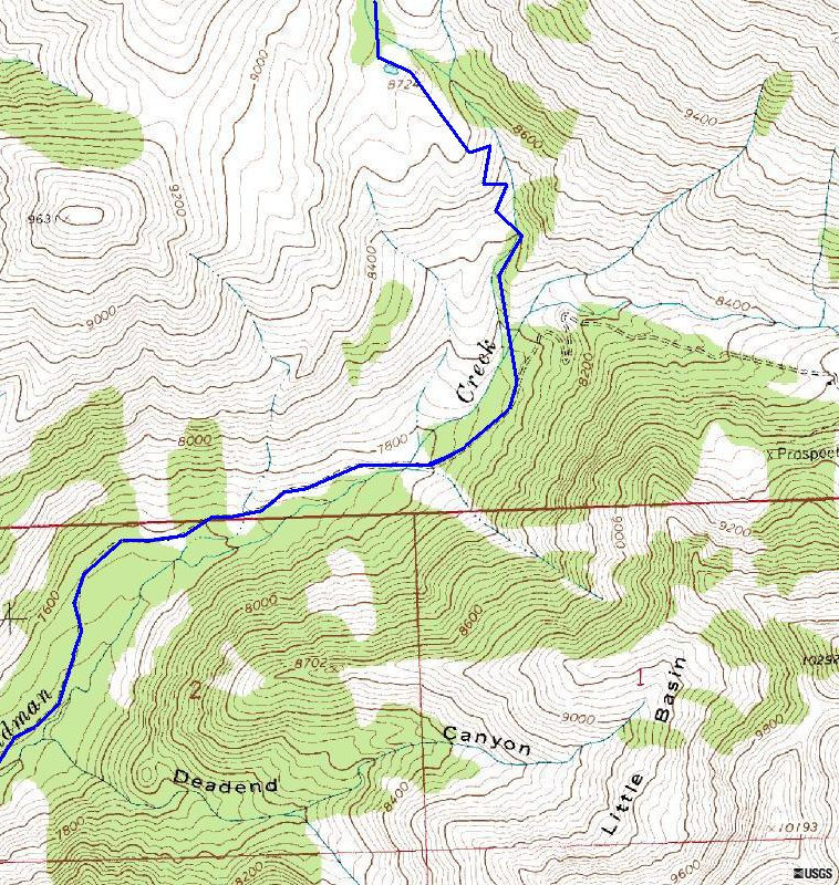 Hyndman Peak Topo Map