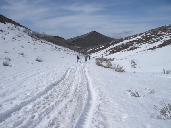 snow road