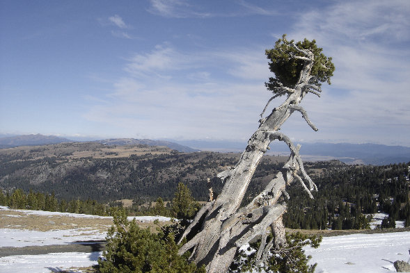 View from Snowbank 