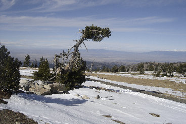 View from Snowbank 