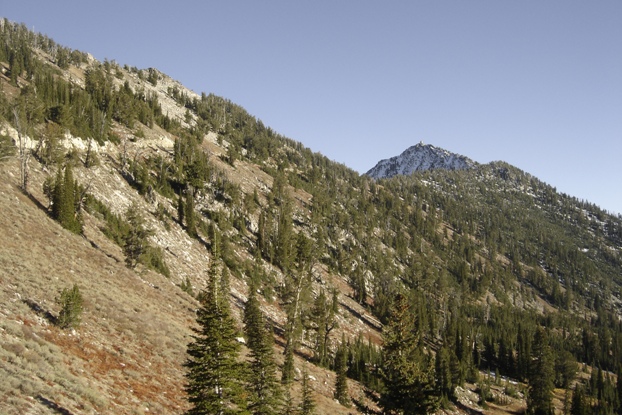 Trinity Mountain route