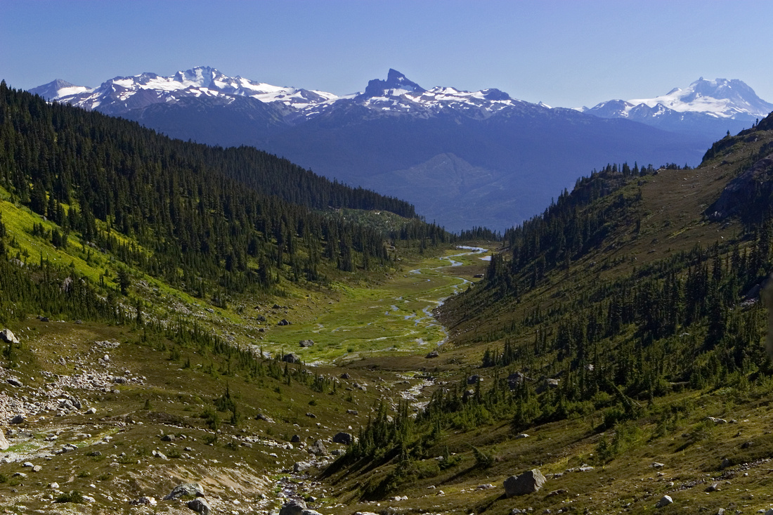 Brandywine Meadows