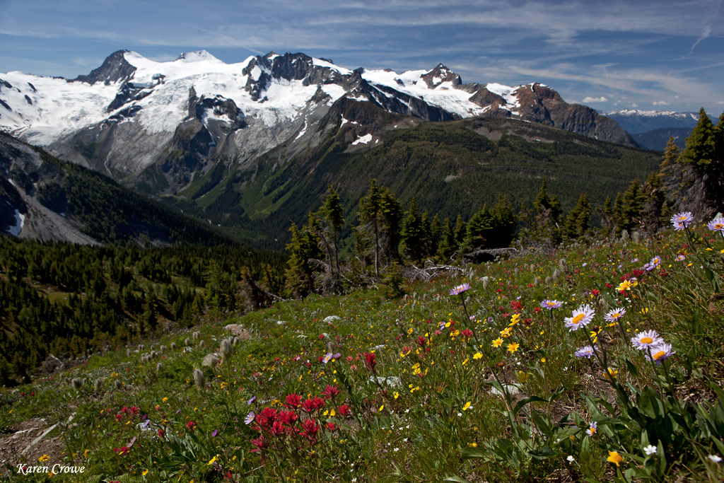 Jumbo Pass