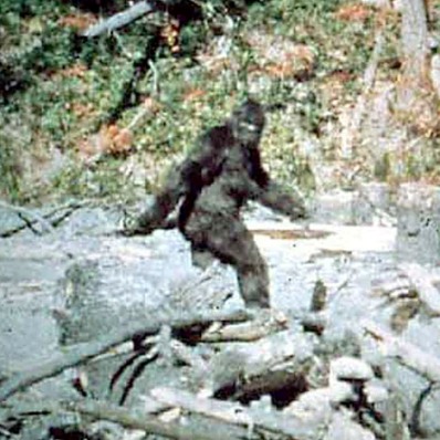 bigfoot picture