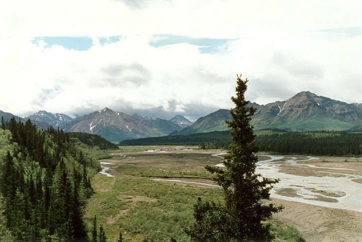 Denali National Park 