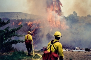 Wildland Firefighting
