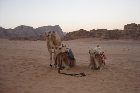 wadi rum