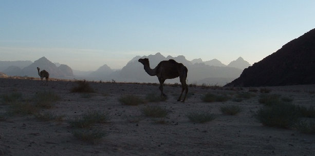Wadi Rum evening