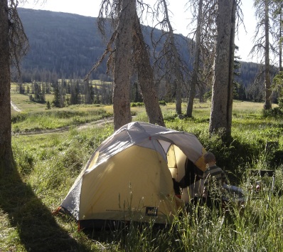 Wasatch Plateau