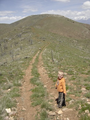 ATV and Jeep roads 