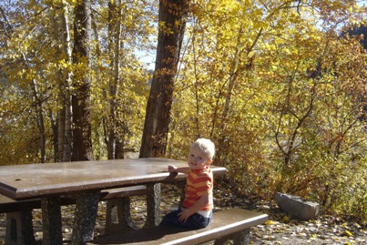 Picnic table in Idaho