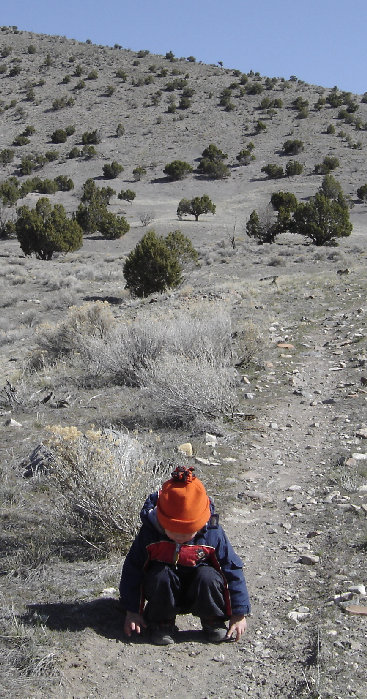 Desert hiking trail