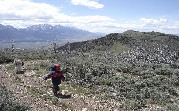 Hiking with Kids