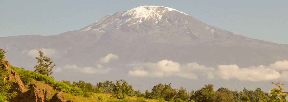 kilimanjaro