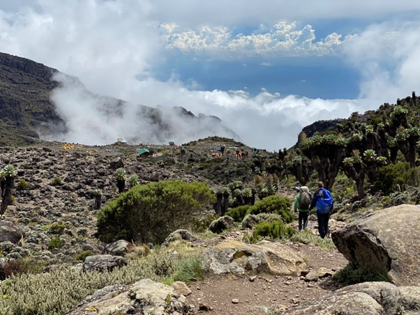 Barranco Camp