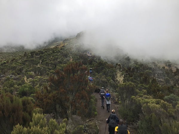 kilimanjaro hike