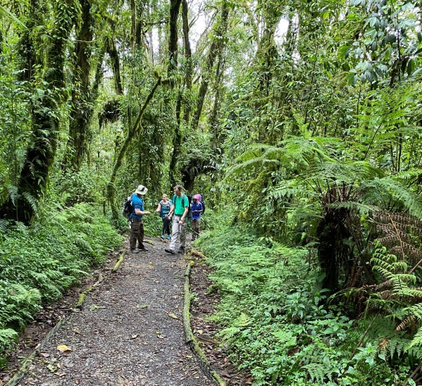 jungle hike