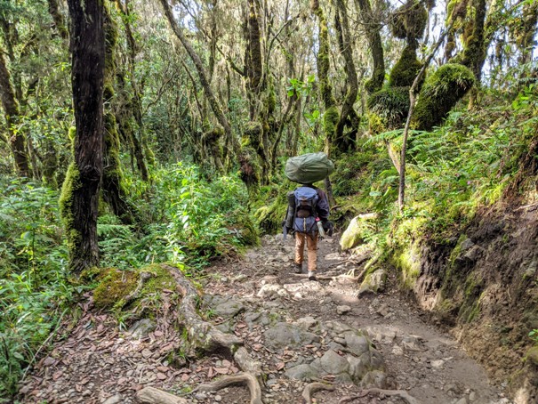 porter hiking