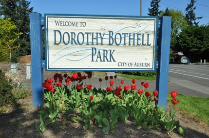 dorothy bothell park