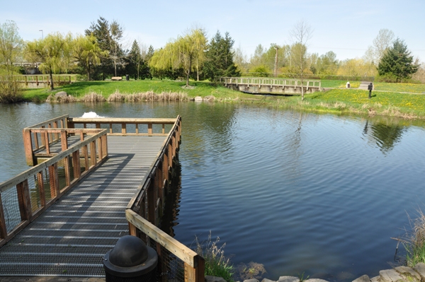 fishing mill pond 