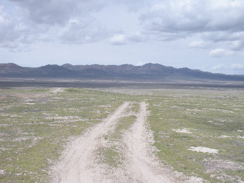 Grassy Mountains 