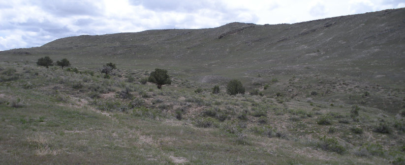 Skunk Ridge Hike