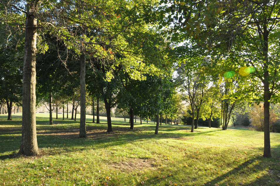 Adam-ondi-ahman walking trail