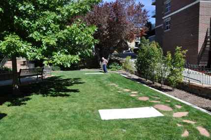 Brigham Young Graveyard