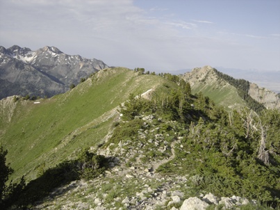 gobblers knob summit