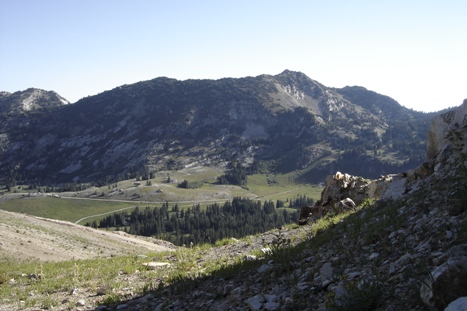 Mt. Wolverine and Albion Basin